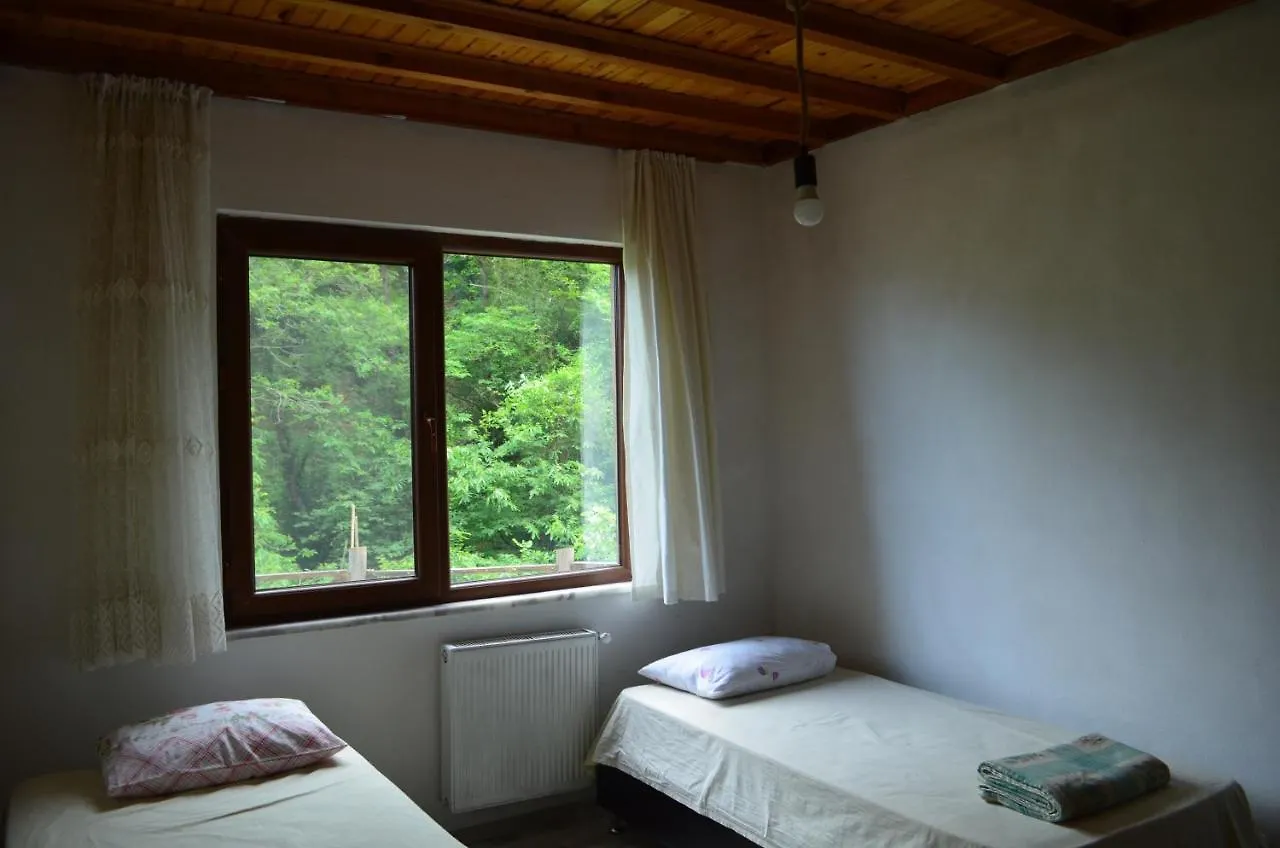 Trabzon Green Valley Villa
