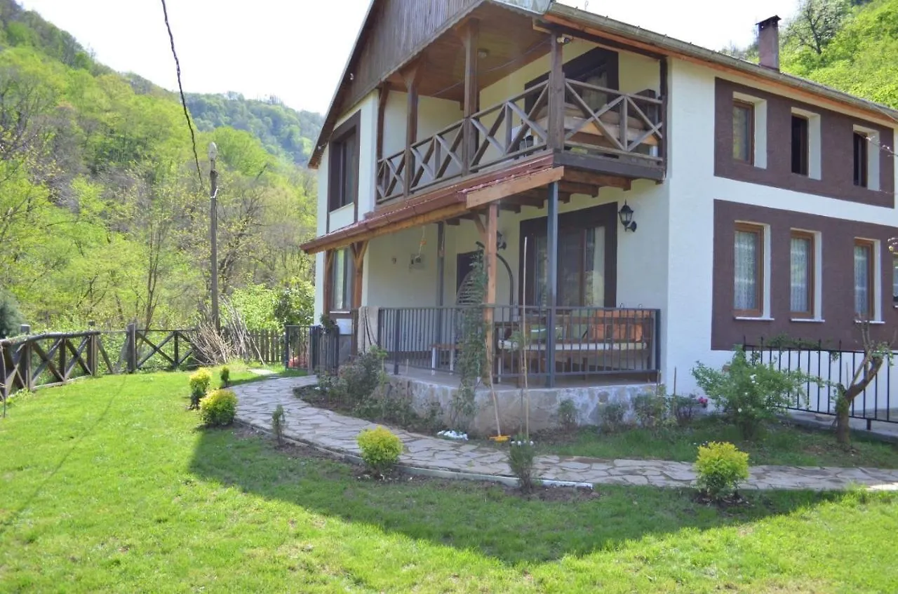 Trabzon Green Valley Villa 0*,