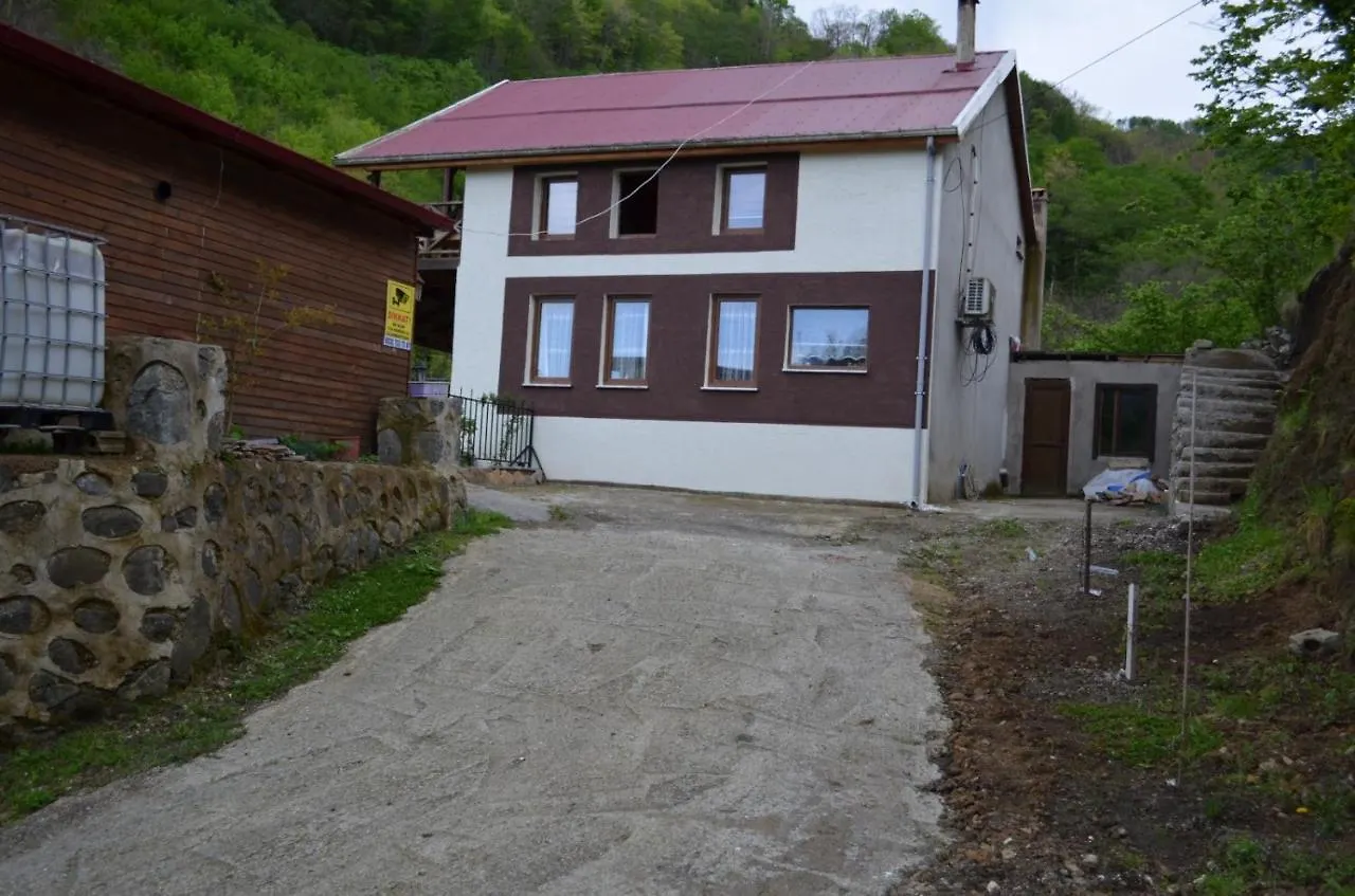 Trabzon Green Valley Villa