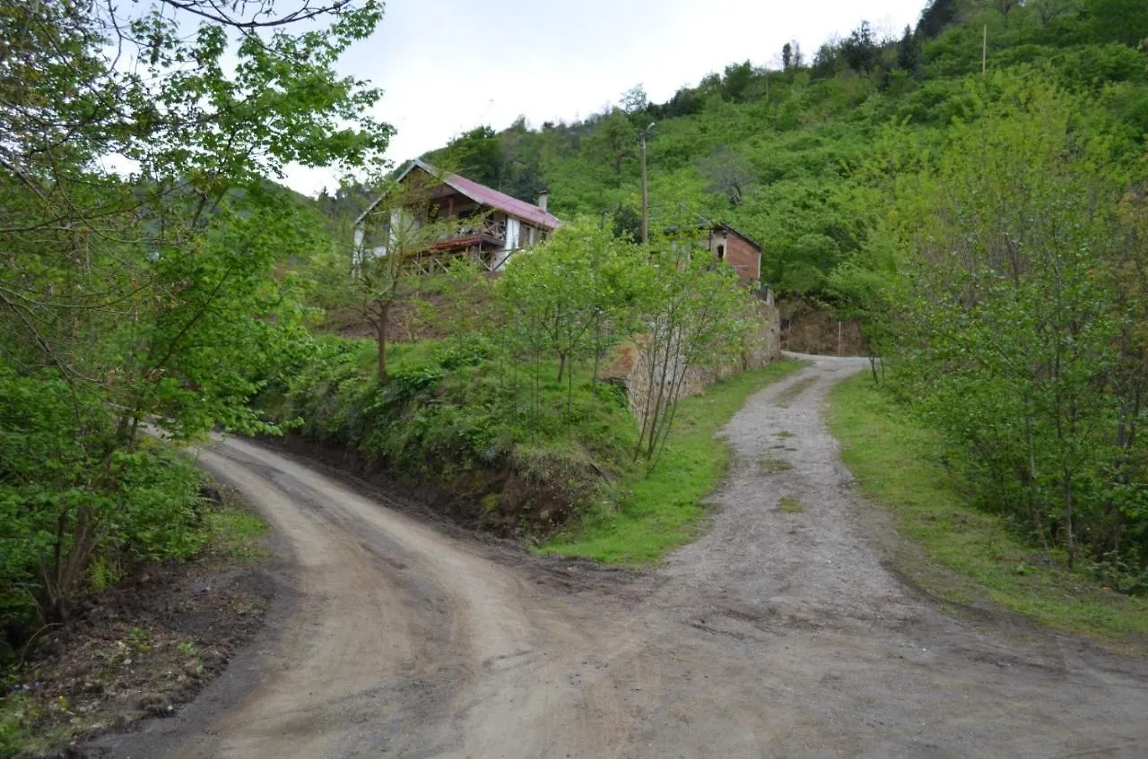 Trabzon Green Valley Villa