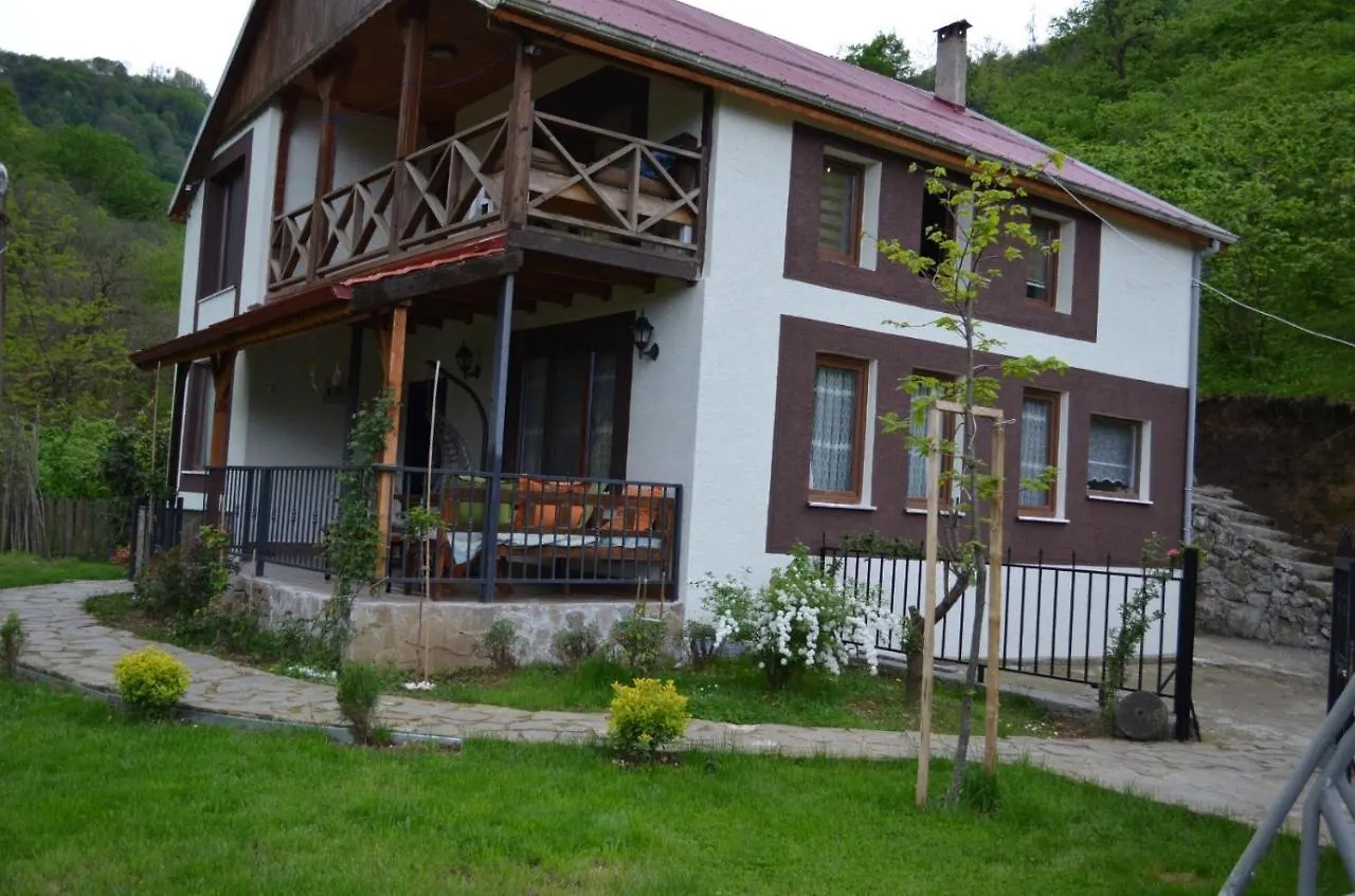 Trabzon Green Valley Villa Turkey