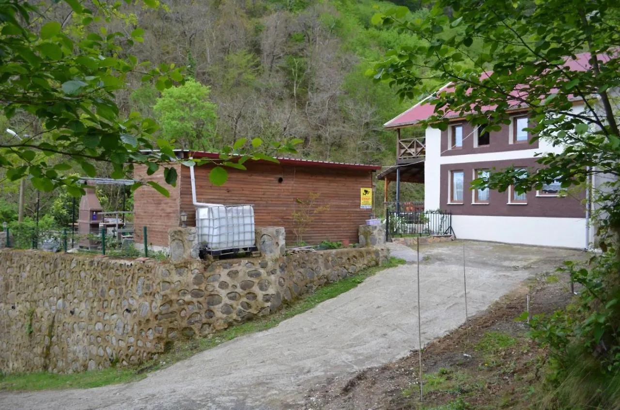 Trabzon Green Valley Villa 0*,  Turkey