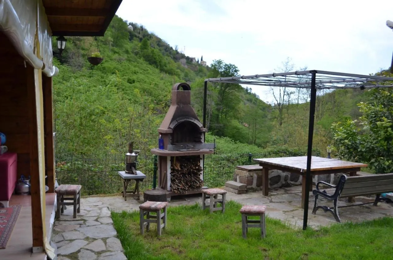 Trabzon Green Valley Villa Turkey